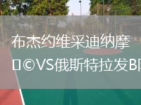 布杰約維采迪納摩VS俄斯特拉發(fā)B隊