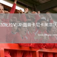 加比拉VS斯圖普卡尼卡奧洛沃