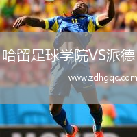哈留足球?qū)W院VS派德