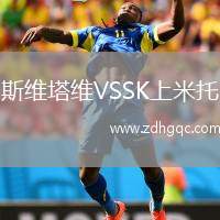 斯維塔維VSSK上米托