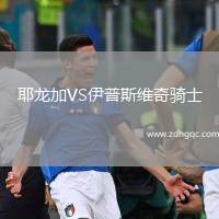 耶龍加VS伊普斯維奇騎士
