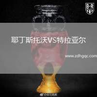 耶丁斯托沃VS特拉亞爾