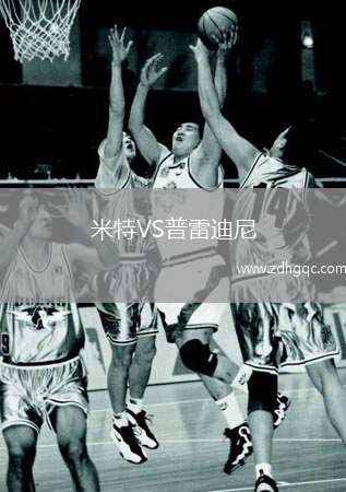 米特VS普雷迪尼