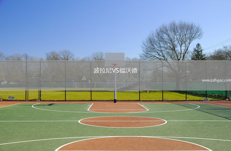 波拉尼VS福沃德