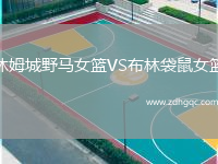 休姆城野馬女籃VS布林袋鼠女籃