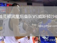 威靈頓鳳凰后備隊(duì)VS威斯頓沙伯