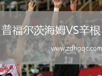 普福爾茨海姆VS辛根